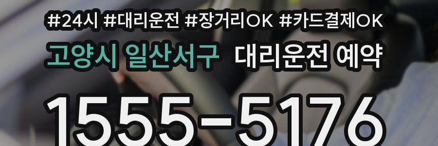 고양시 일산서구 대리운전 예약
