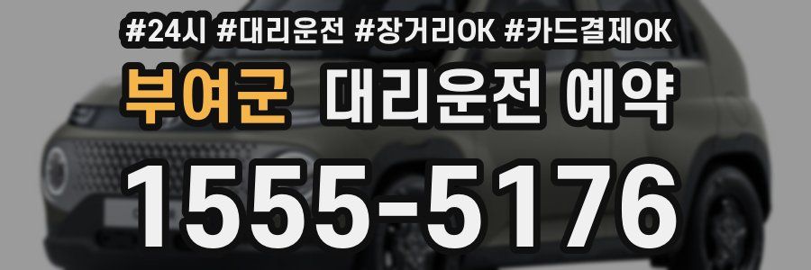 부여군 대리운전 예약