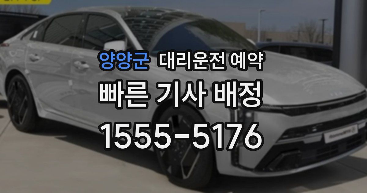 양양군 대리운전 예약