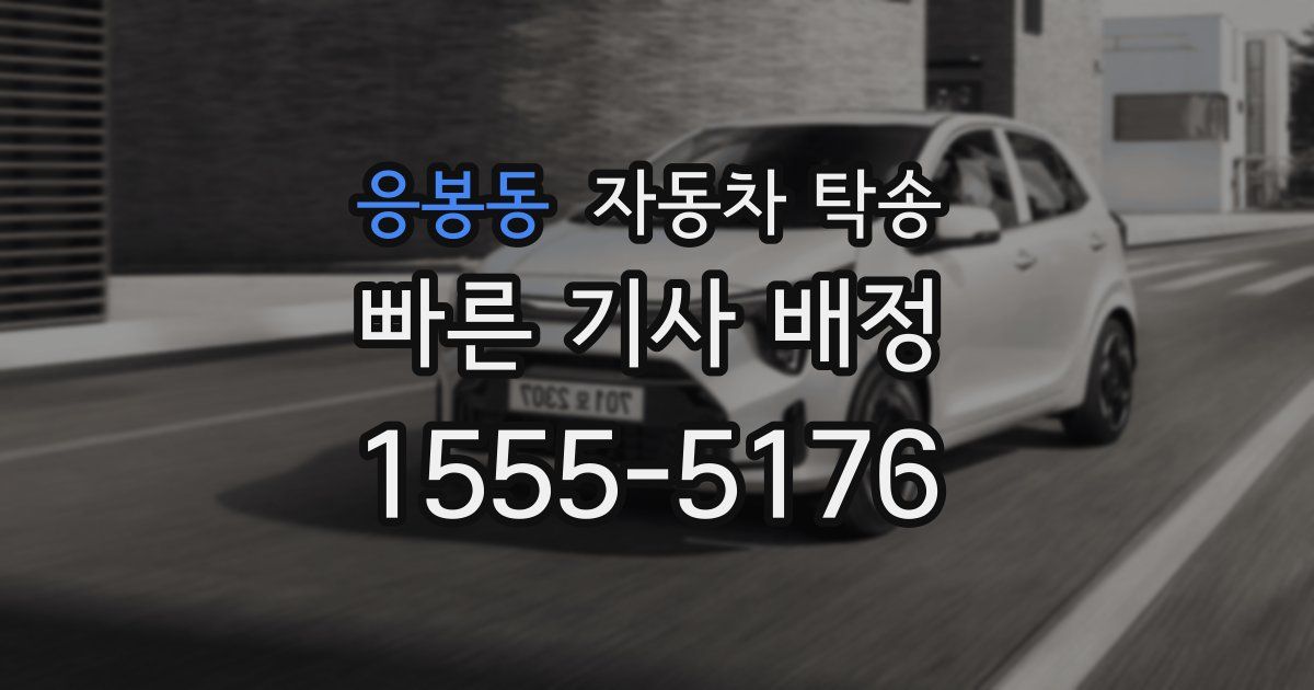 응봉동 자동차 탁송