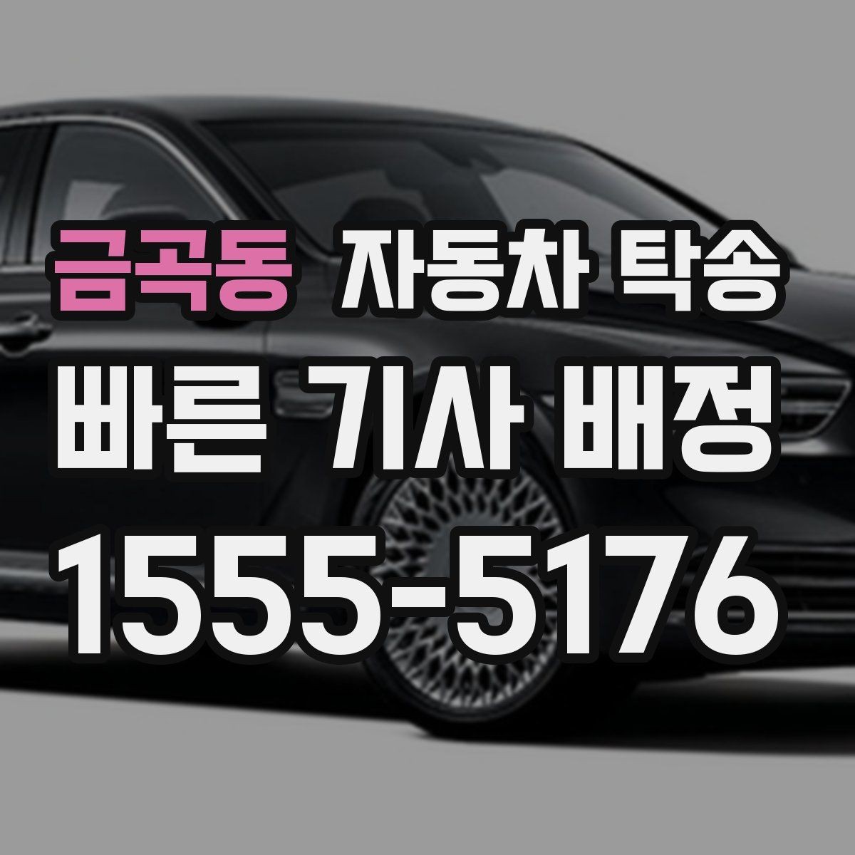 금곡동 자동차 탁송 장기 보관 차량 이동이 필요할 때