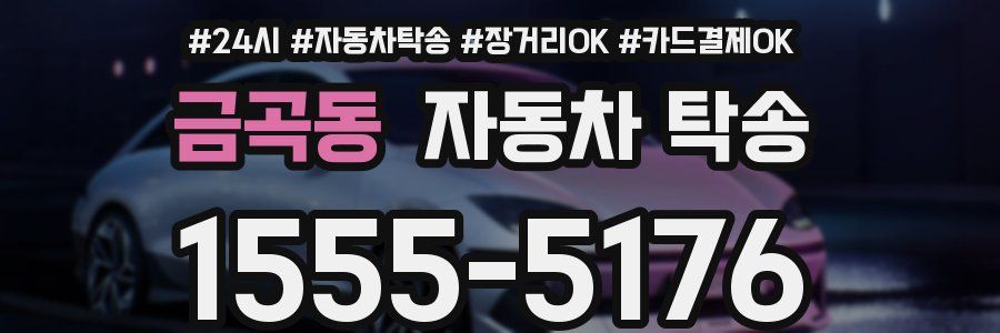 금곡동 자동차 탁송