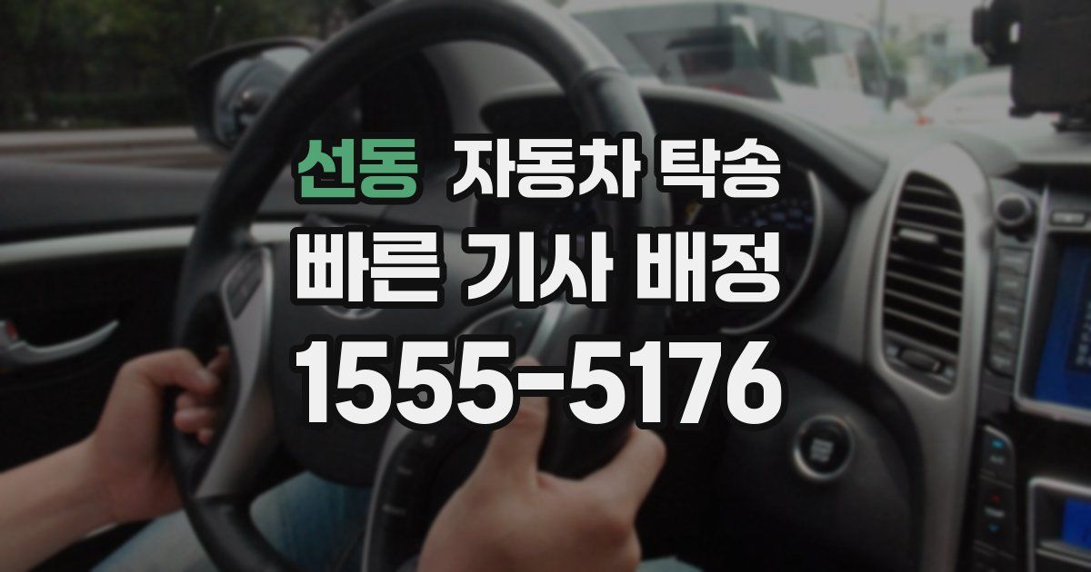 선동 자동차 탁송