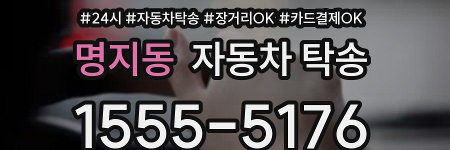 명지동 자동차 탁송