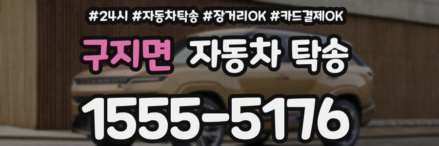 구지면 자동차 탁송
