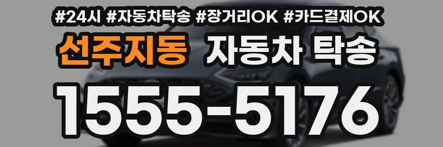 선주지동 자동차 탁송