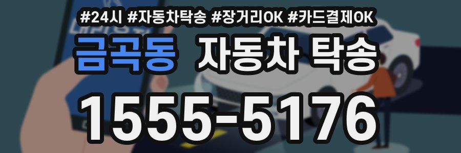 금곡동 자동차 탁송