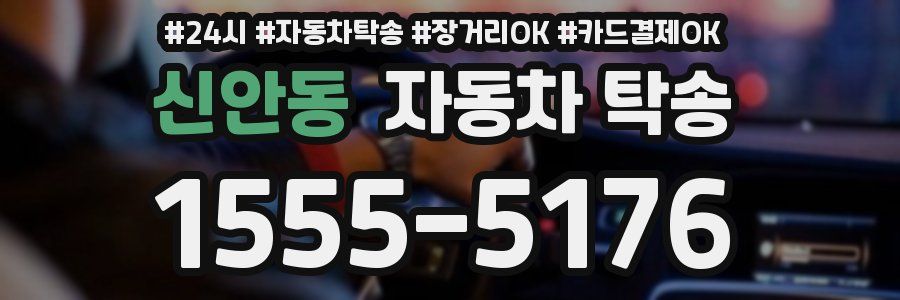 신안동 자동차 탁송