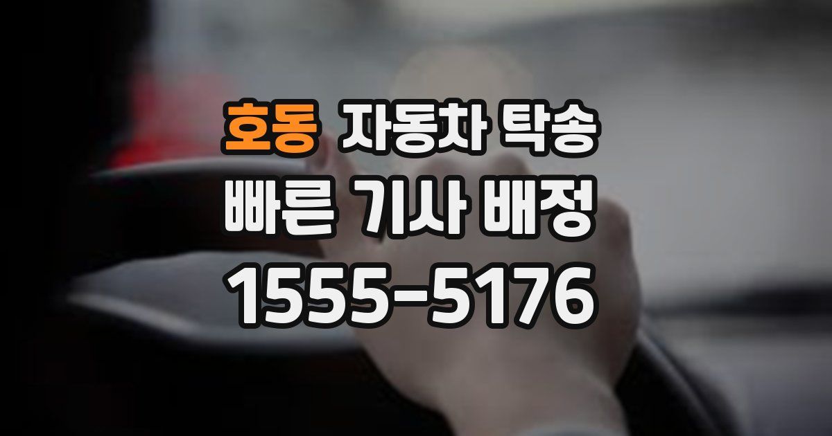 호동 자동차 탁송