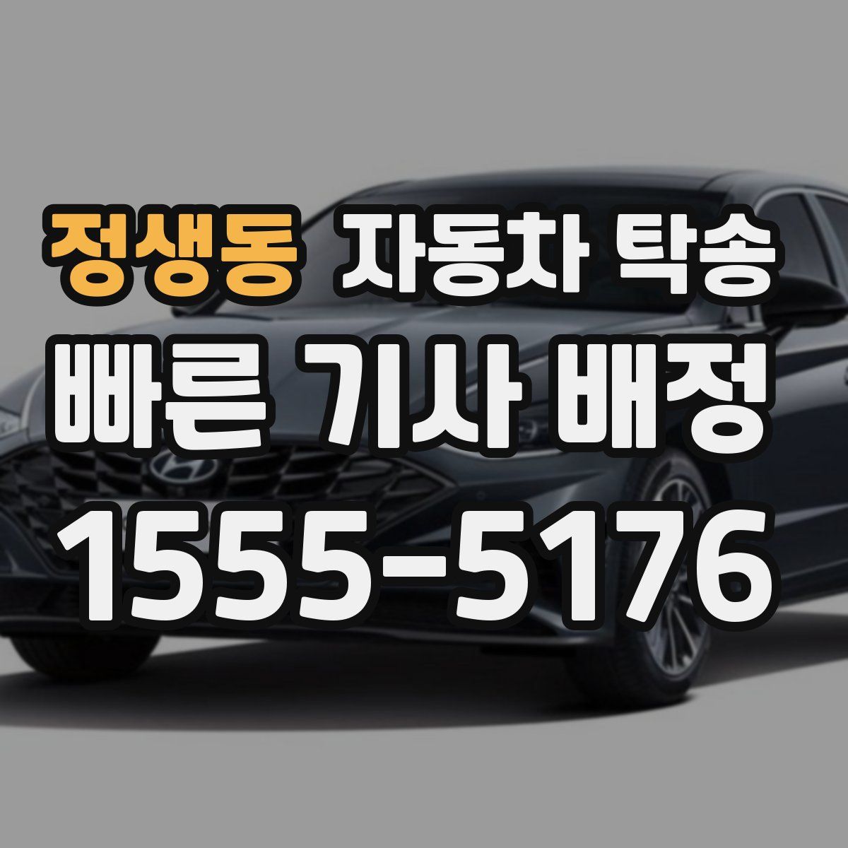 정생동 자동차 탁송