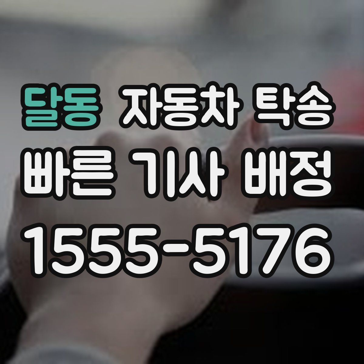 달동 자동차 탁송