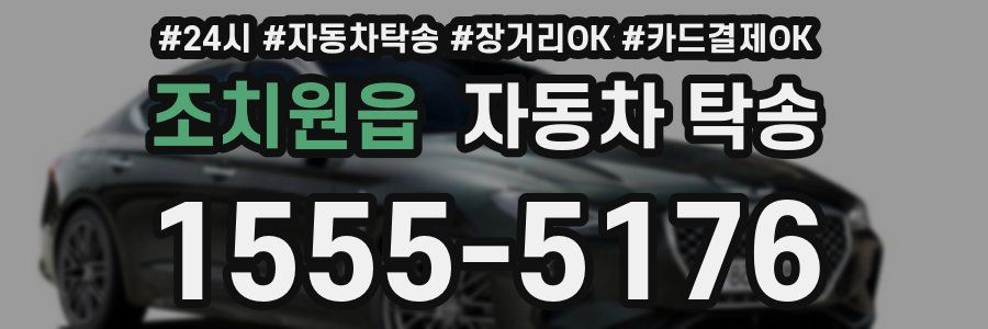 조치원읍 자동차 탁송