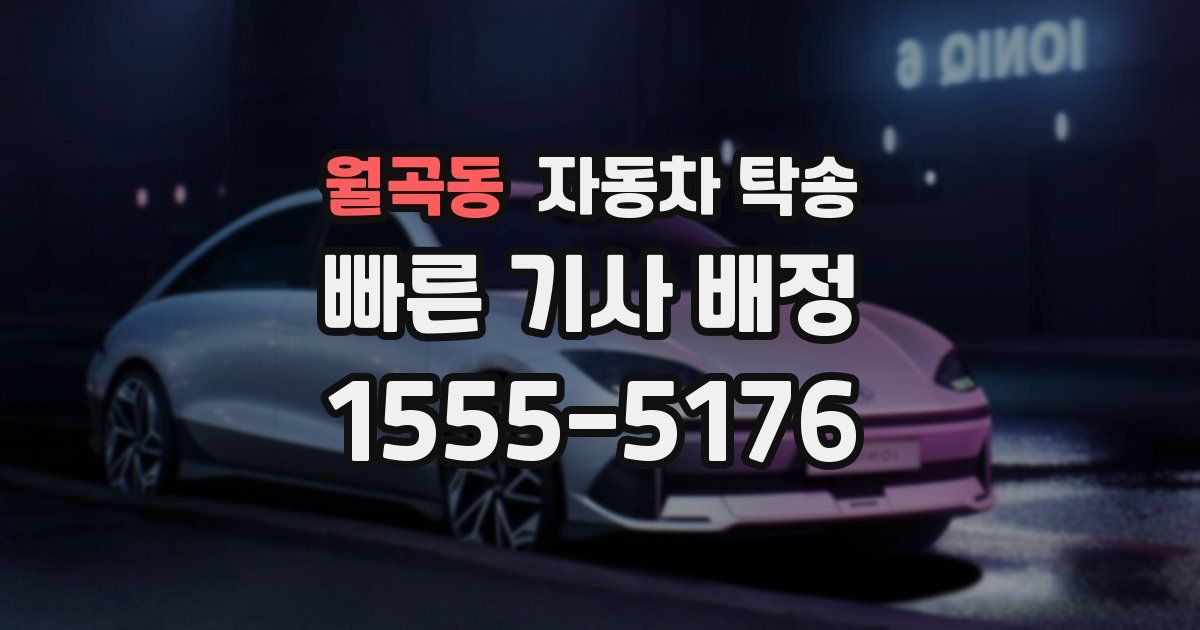 월곡동 자동차 탁송