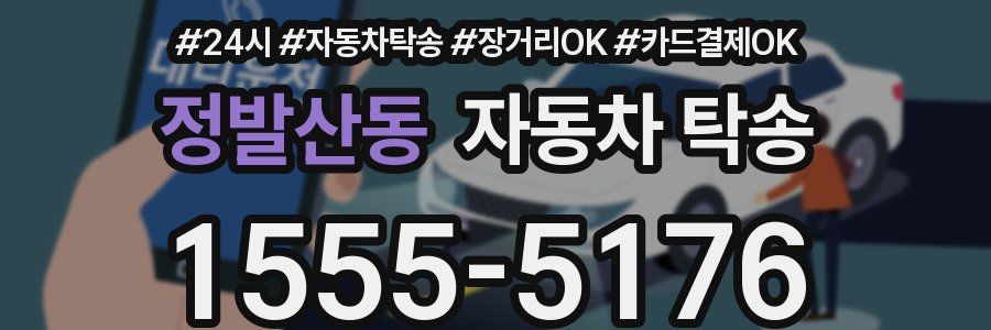 정발산동 자동차 탁송