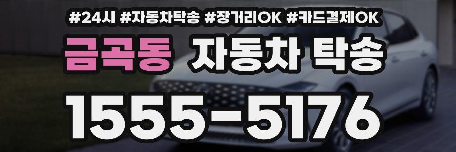 금곡동 자동차 탁송