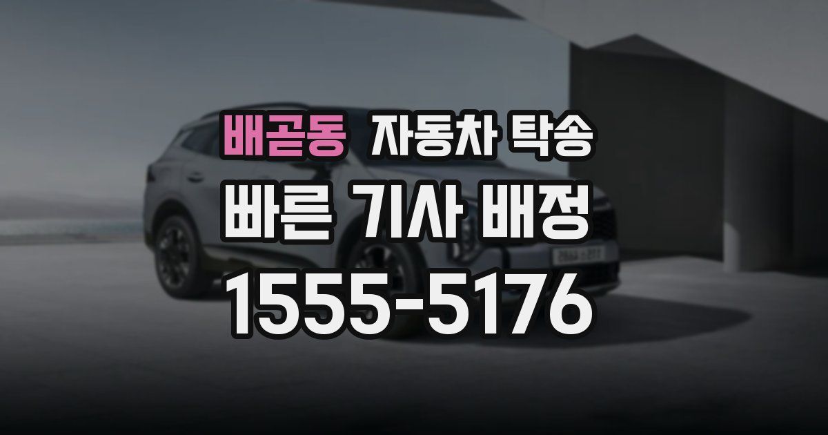 배곧동 자동차 탁송