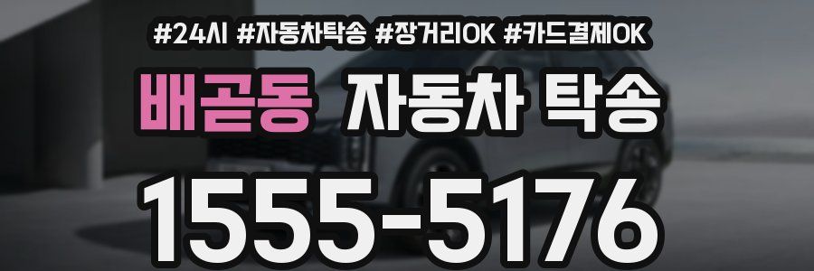 배곧동 자동차 탁송