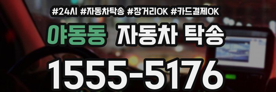 야동동 자동차 탁송