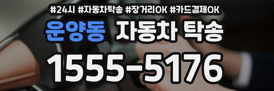 운양동 자동차 탁송
