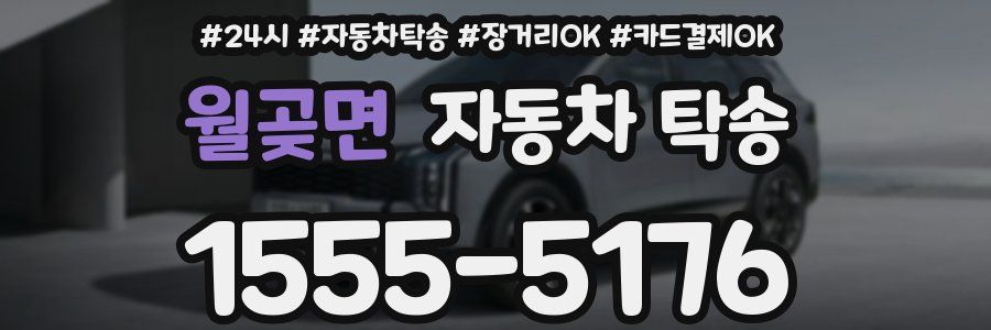 월곶면 자동차 탁송