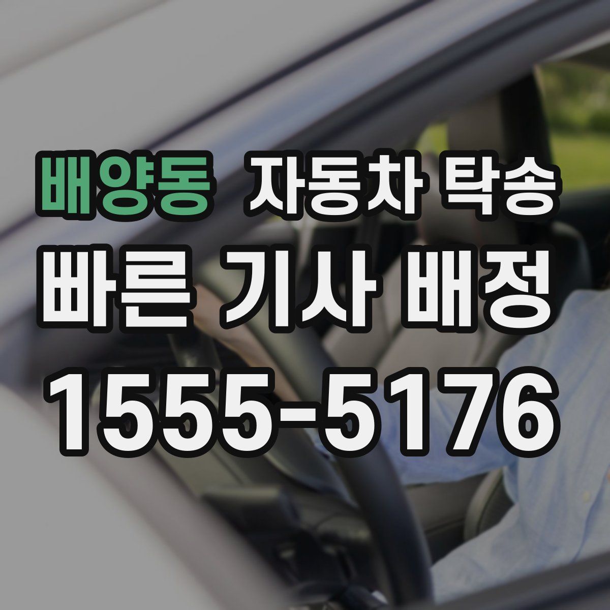 배양동 자동차 탁송