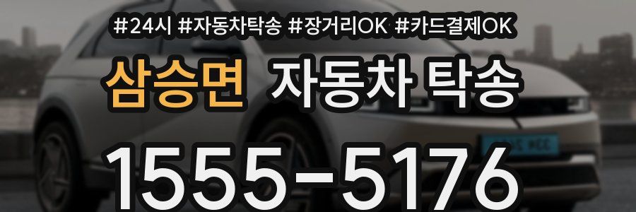 삼승면 자동차 탁송