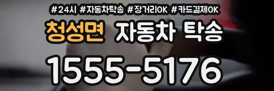 청성면 자동차 탁송