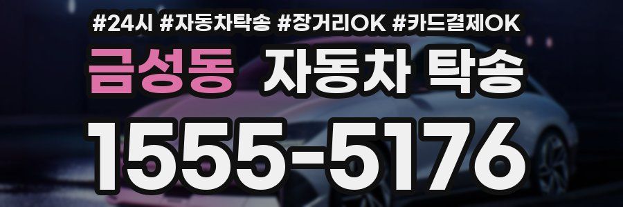 금성동 자동차 탁송