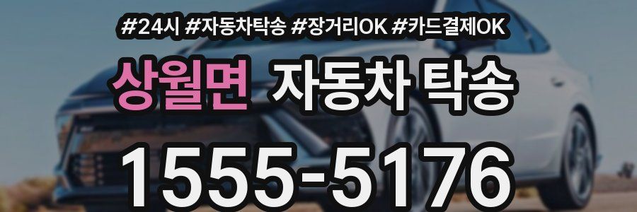 상월면 자동차 탁송