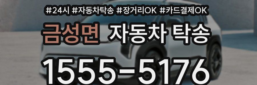 금성면 자동차 탁송