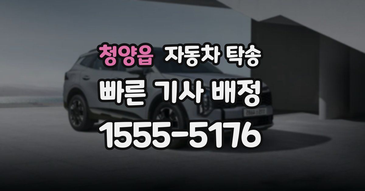 청양읍 자동차 탁송