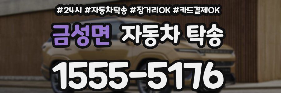 금성면 자동차 탁송
