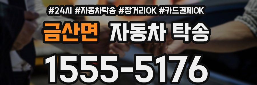 금산면 자동차 탁송