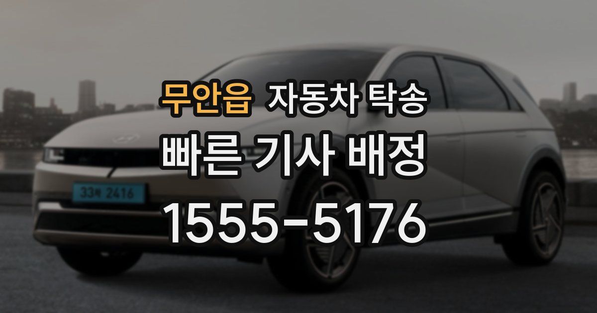 무안읍 자동차 탁송