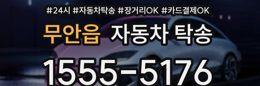 무안읍 자동차 탁송