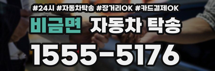 비금면 자동차 탁송