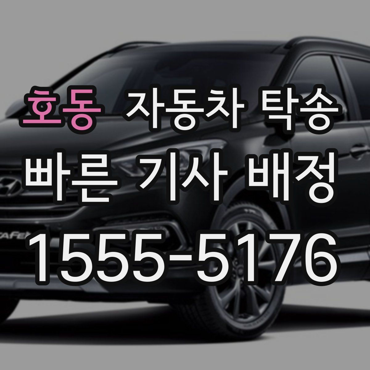 호동 자동차 탁송