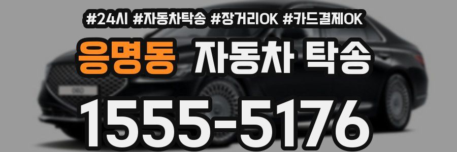 응명동 자동차 탁송