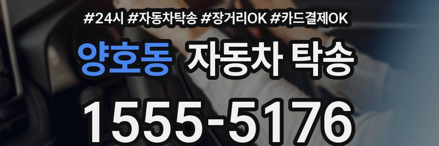 양호동 자동차 탁송