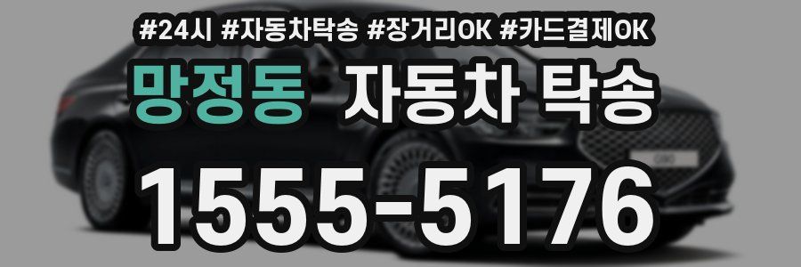 망정동 자동차 탁송