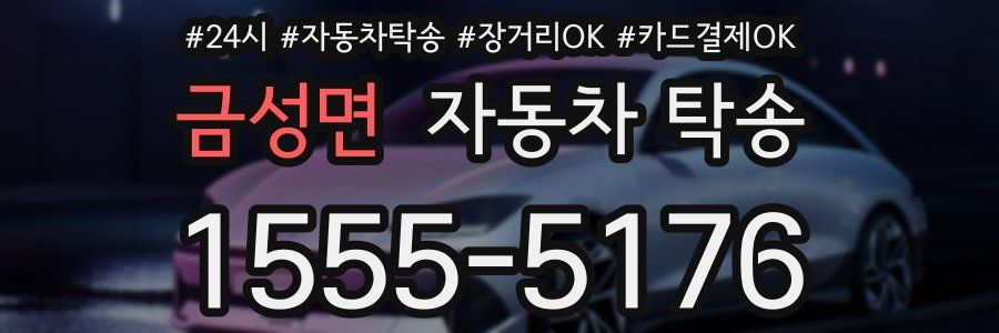 금성면 자동차 탁송