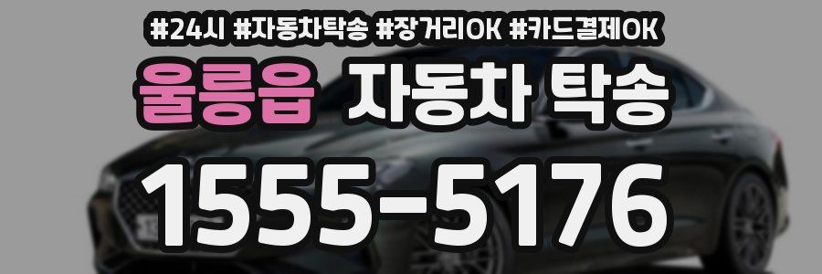 울릉읍 자동차 탁송