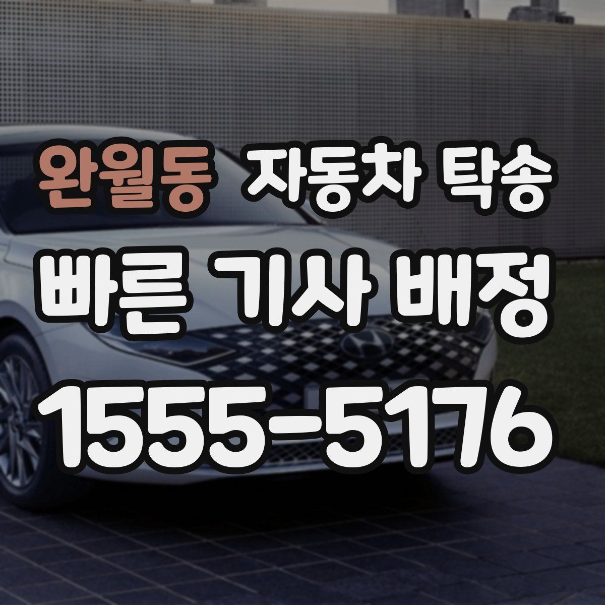 완월동 자동차 탁송