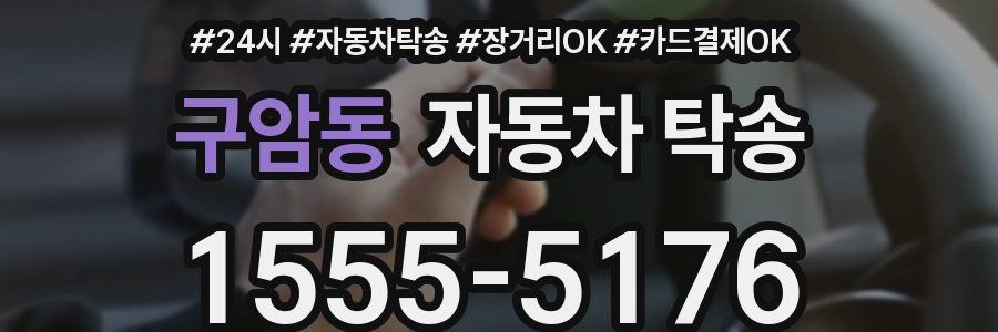 구암동 자동차 탁송