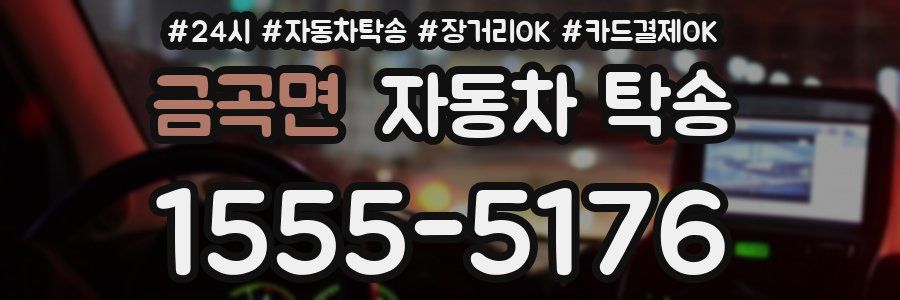 금곡면 자동차 탁송