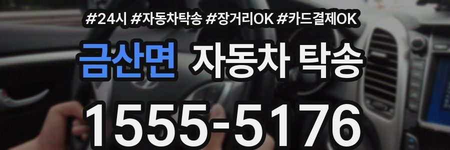 금산면 자동차 탁송