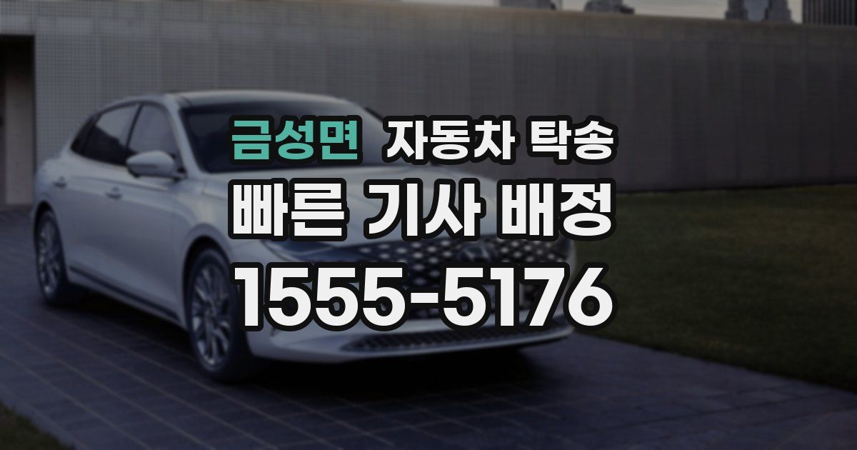 금성면 자동차 탁송