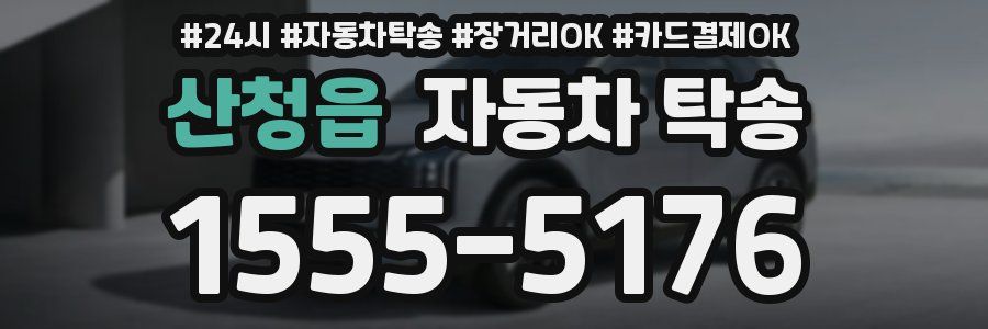 산청읍 자동차 탁송