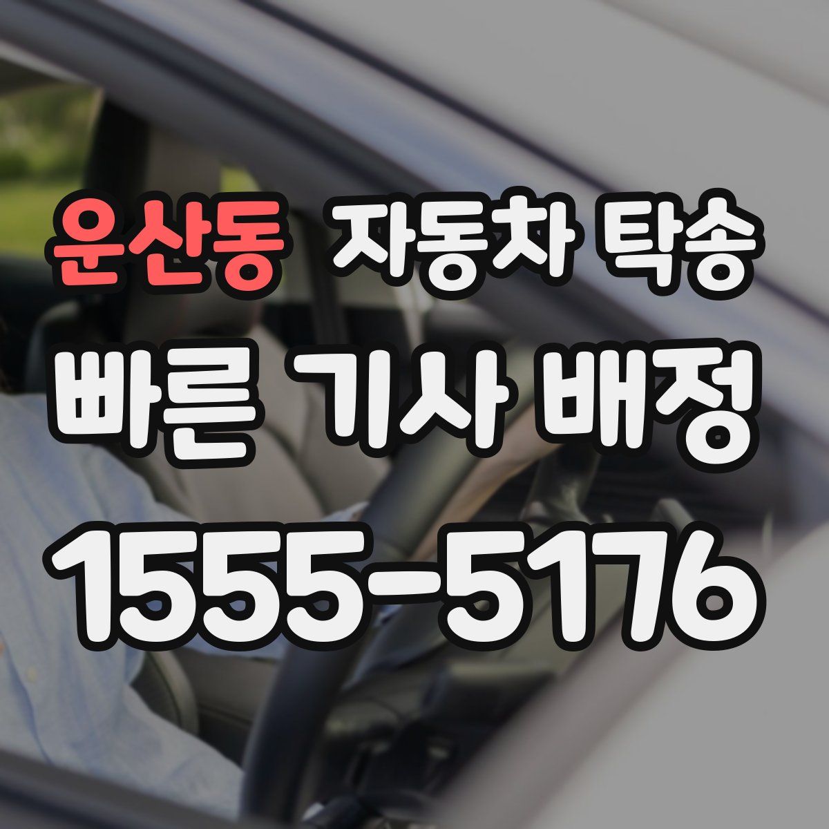 운산동 자동차 탁송