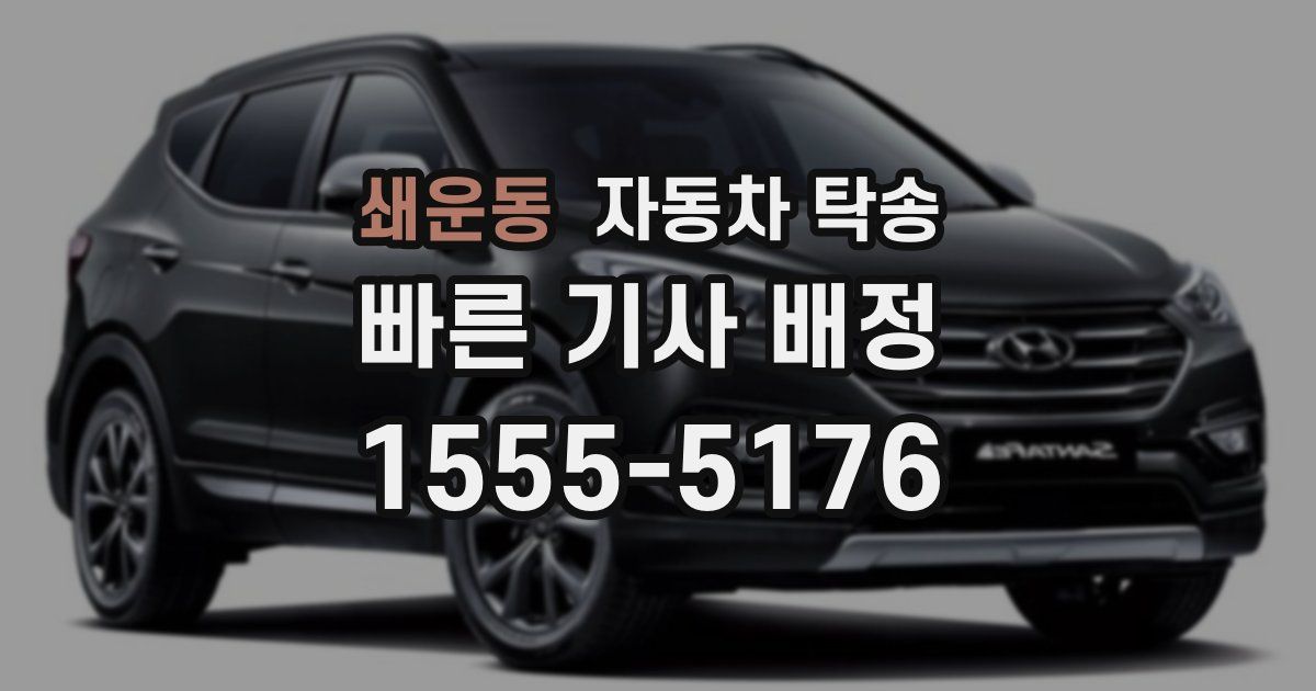 쇄운동 자동차 탁송